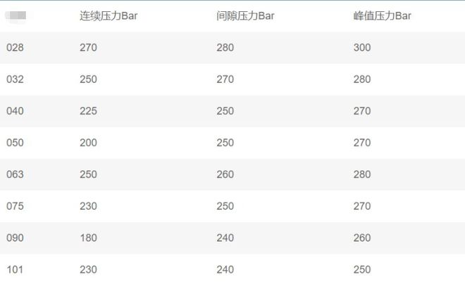 890-SFM-063-FS2-5502伺服系統(tǒng)油泵特點(圖2)