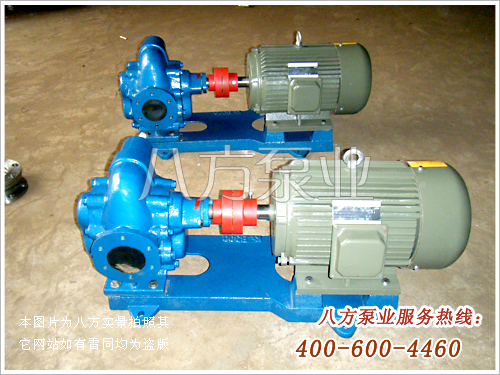 九游體育齒輪泵KCB300齒輪油泵-八方KCB300油泵-北京八方泵業(yè)機械有限責(zé)任公司